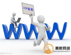 動態(tài)網(wǎng)站建設(shè) 鳳軟網(wǎng)絡(luò)